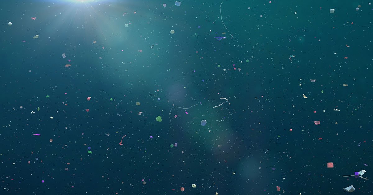 RemorsTech's tweet photo. #Microplastic are small particles that occur in the environment as consequence of #Plasticpollution 

The plastic widespread diffusion in all the ecosystems seriously affects a great number of organisms including humans

Remors Technologies is working for a solution

#plasticfree https://t.co/bM43rHFG18