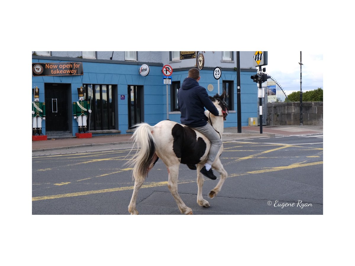 eugenesjourneys's tweet photo. Night rider
The oldest but still popular form of transport in town.
#nightrider #horse #horseoutside #limerick #thomondbridge #fujifilm_xseries #fujixt30
@LimerickCouncil @ilovelimerick @Rubberbandits @Limerick_ie @JackMondays @FujifilmX_UK @Fujitsu_Global @_fujilove_ https://t.co/jbwWV37BWV