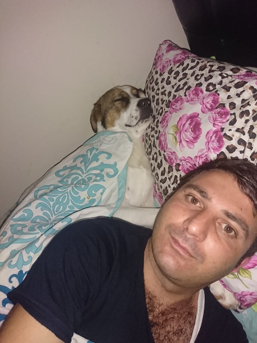 Bundan üç yıl önce yeni doğmuştu.ben onu parkta buldum ve aldim. Büyüttüm şuan üç yasinda o kadar zeki ve akıllı ki oğlum konusamasa bile gel konuşalım dedigimde gelir ve karşıma oturur.hayvanlara sahip cikalim. Ve acilen #hayvanhaklarıyasasıhemen ciksin. allahin dilsiz kulları .