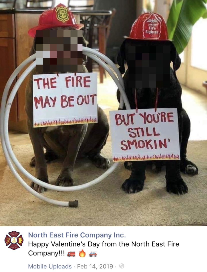 These fire dogs that work with Jerry didn’t do anything wrong. Their identities have been protected.