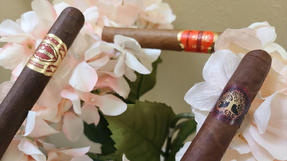 TechtonicLounge's tweet photo. Come on out to #Twitch for todays #LiveLounge coming to you...#Live(?) we think? We have some amazing content as always! #Cigars, #Movies, #Games and more! So come and support #TheLounge and as always #KeepItSmokey!

https://t.co/9eRvXIc3Nz https://t.co/OaOEFxahtV