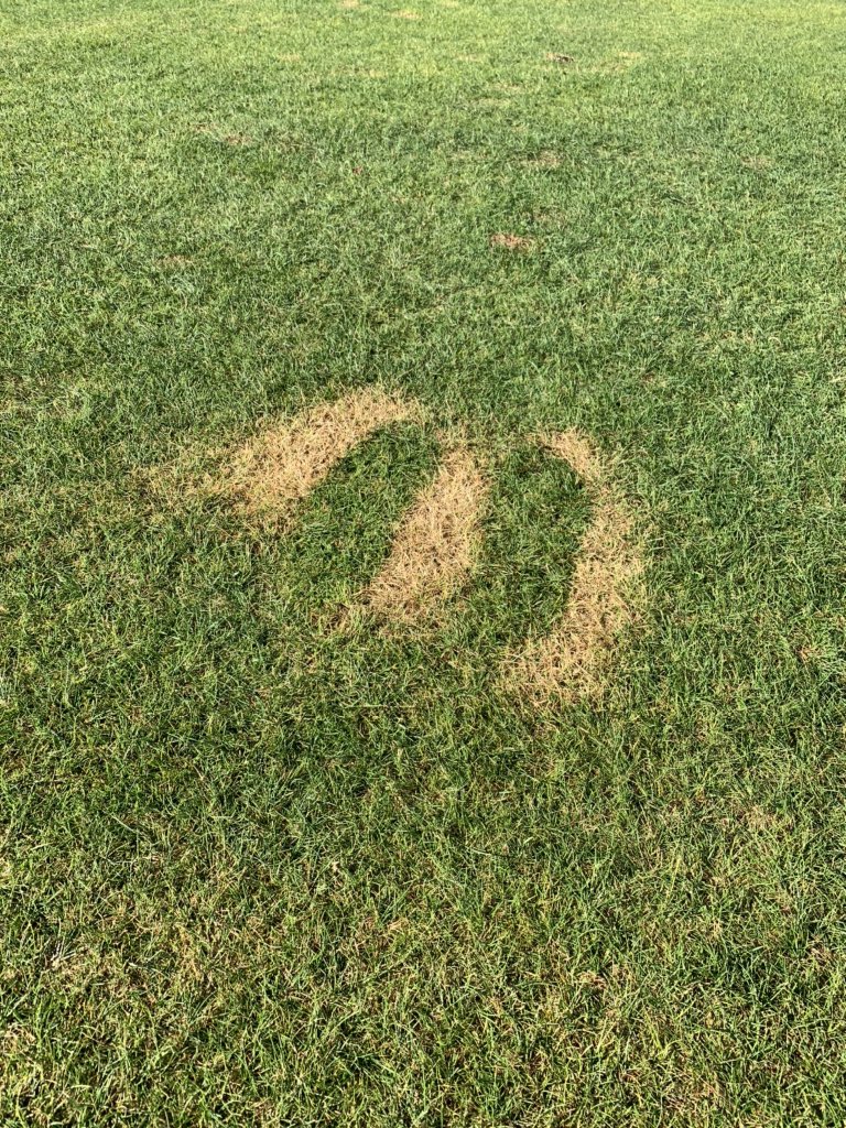 Sideways_9's tweet photo. For the 3rd installment of “so close,...but I don’t get it,” I give your the bug spray guy.  Maybe next time spray your feet with deet on the cart path!  Size 10?? 😏

#givenuponlife #soclose #superintendentslife #pga #gcsaa #theloop
@forestdunes 

https://t.co/Ze8n6tzp4Q https://t.co/q3TxussYSu