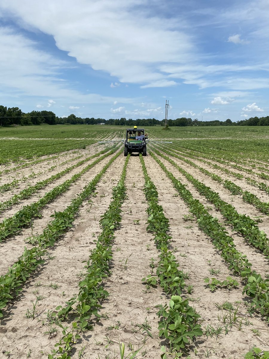 T_Richardson14's tweet photo. Couldn’t have asked for a nicer day to do some plot work! Nutritional trials &amp; signage! Plenty of quality data coming this fall to help growers put more $$$ in their pockets! Stay tuned! @ag_central @ag_central @BrevantseedsUS @GldnHarvest @DynaGroSeed #E3 #ROI https://t.co/oP9krifZCA