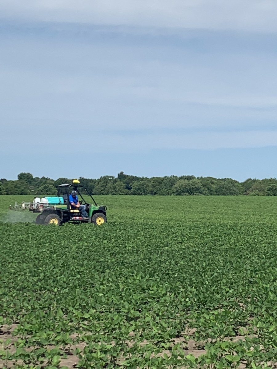 T_Richardson14's tweet photo. Couldn’t have asked for a nicer day to do some plot work! Nutritional trials &amp; signage! Plenty of quality data coming this fall to help growers put more $$$ in their pockets! Stay tuned! @ag_central @ag_central @BrevantseedsUS @GldnHarvest @DynaGroSeed #E3 #ROI https://t.co/oP9krifZCA