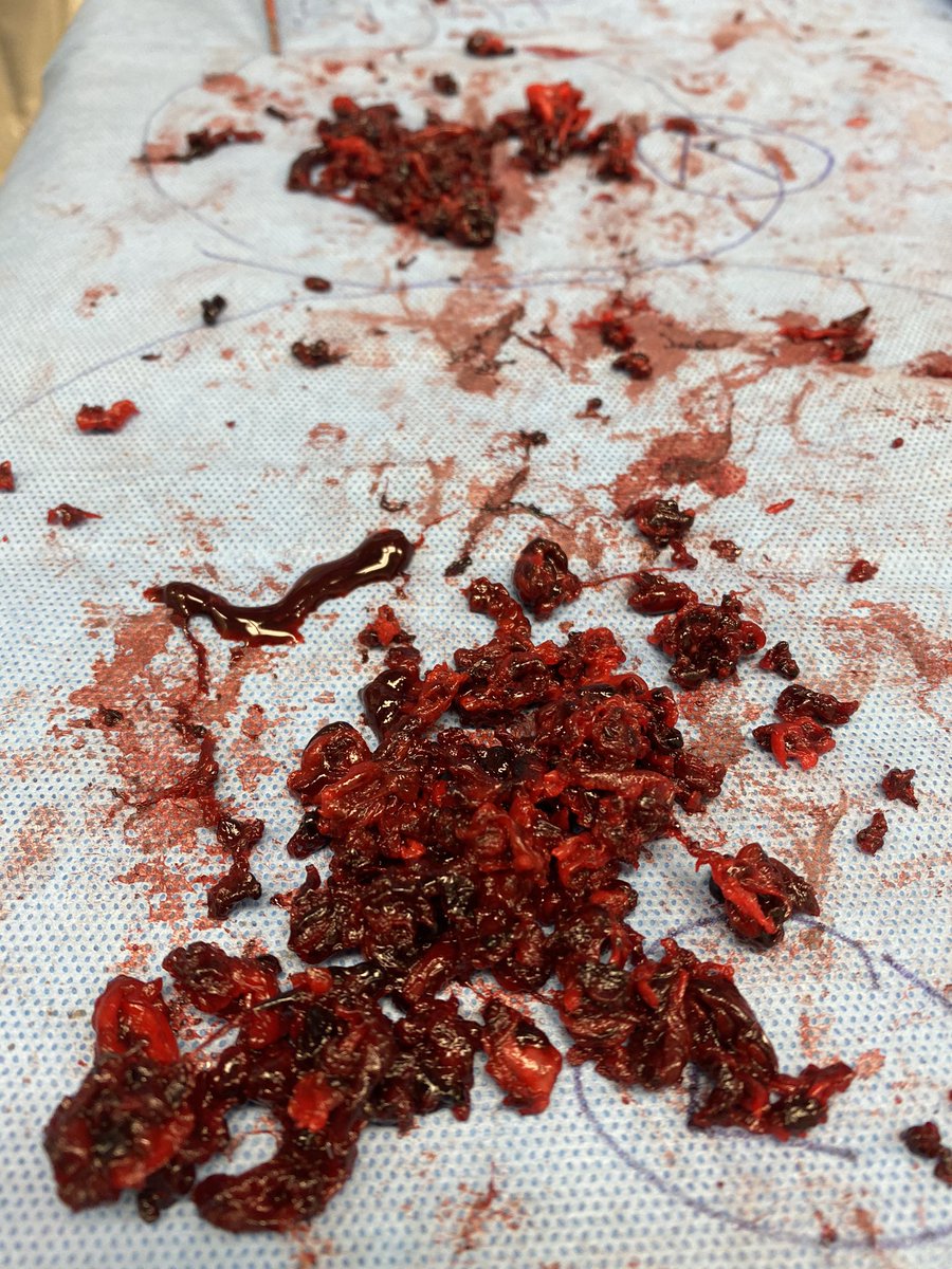 John Moriarty tweet media