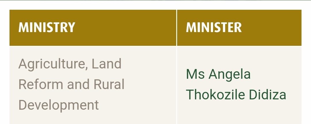 Let's start with our Minister of agriculture, Ms Angela Didiza. Surely she has to have some agriculture related qualification. Nope. She has a degree in politics.