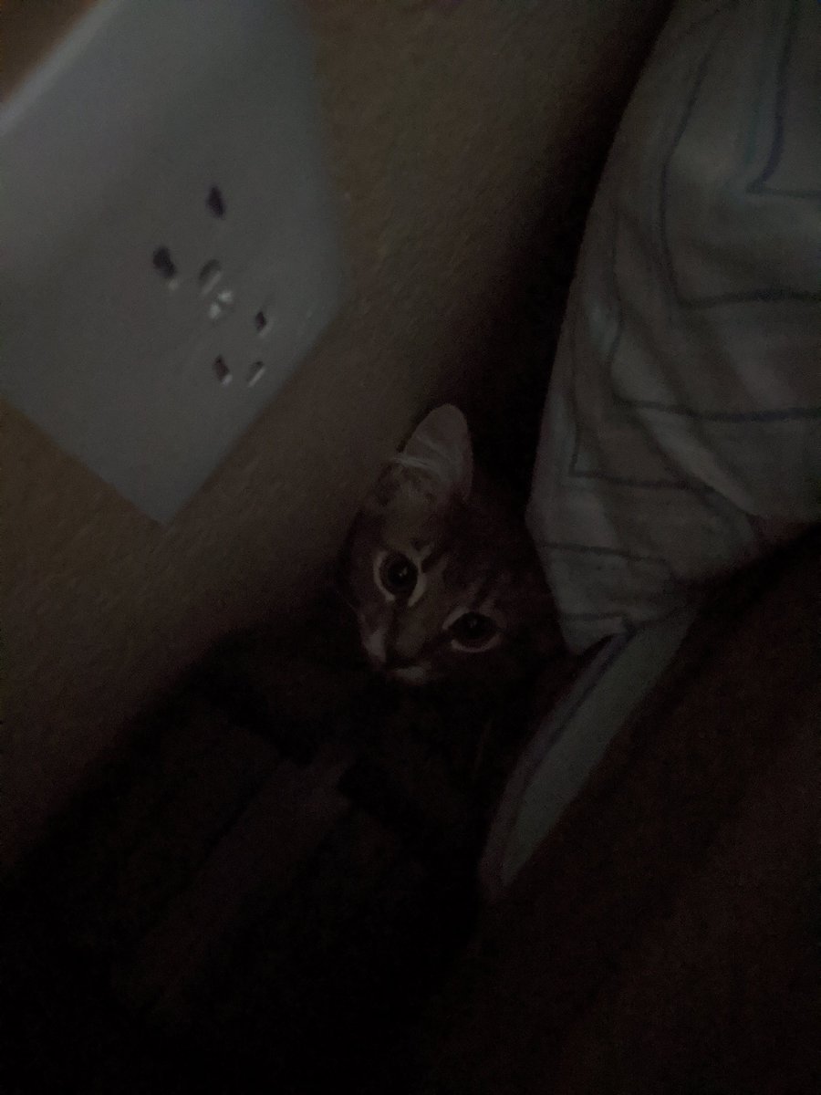 AssataShakitten's tweet photo. peak...,,, a  Boo!!!!!! https://t.co/7QOA6QQyvf