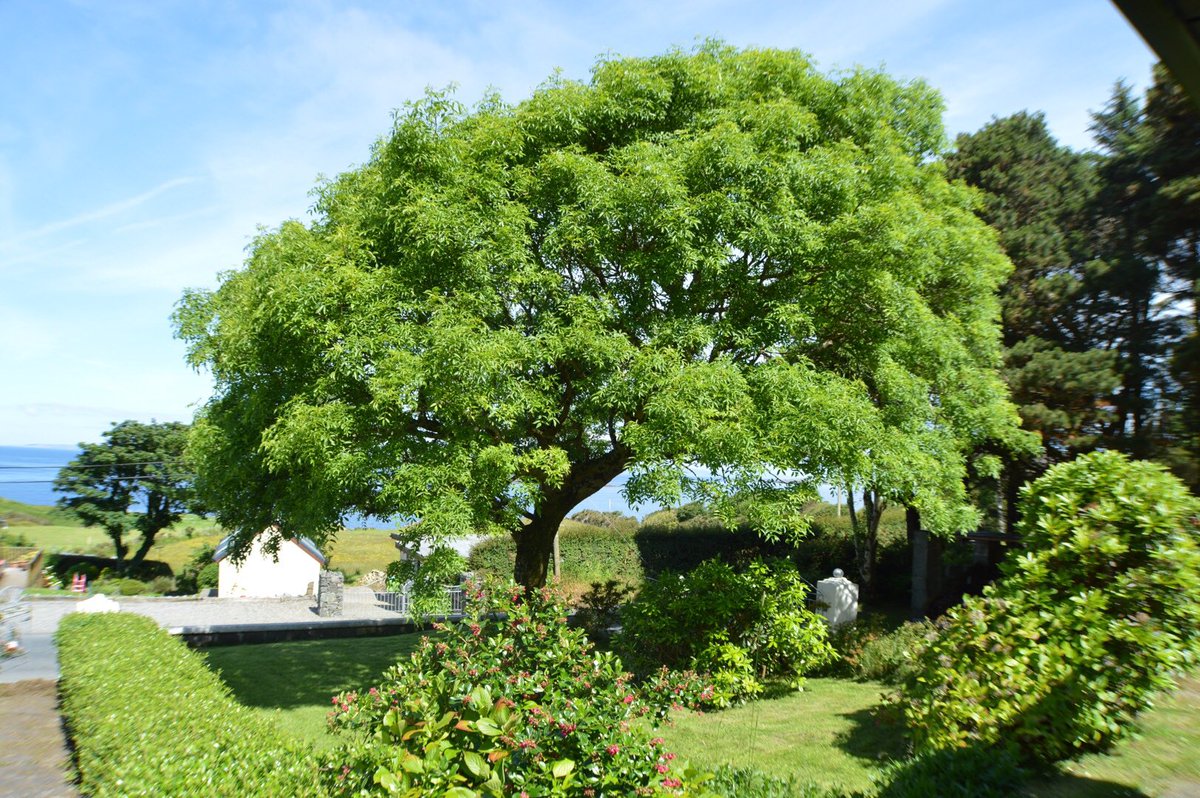 #mylifeinpictures #7dayphotochallenge. Rules: no words, no people. Day 1/7. Nominated by <a href="/DonnaCambo/">Donna Campbell</a> !