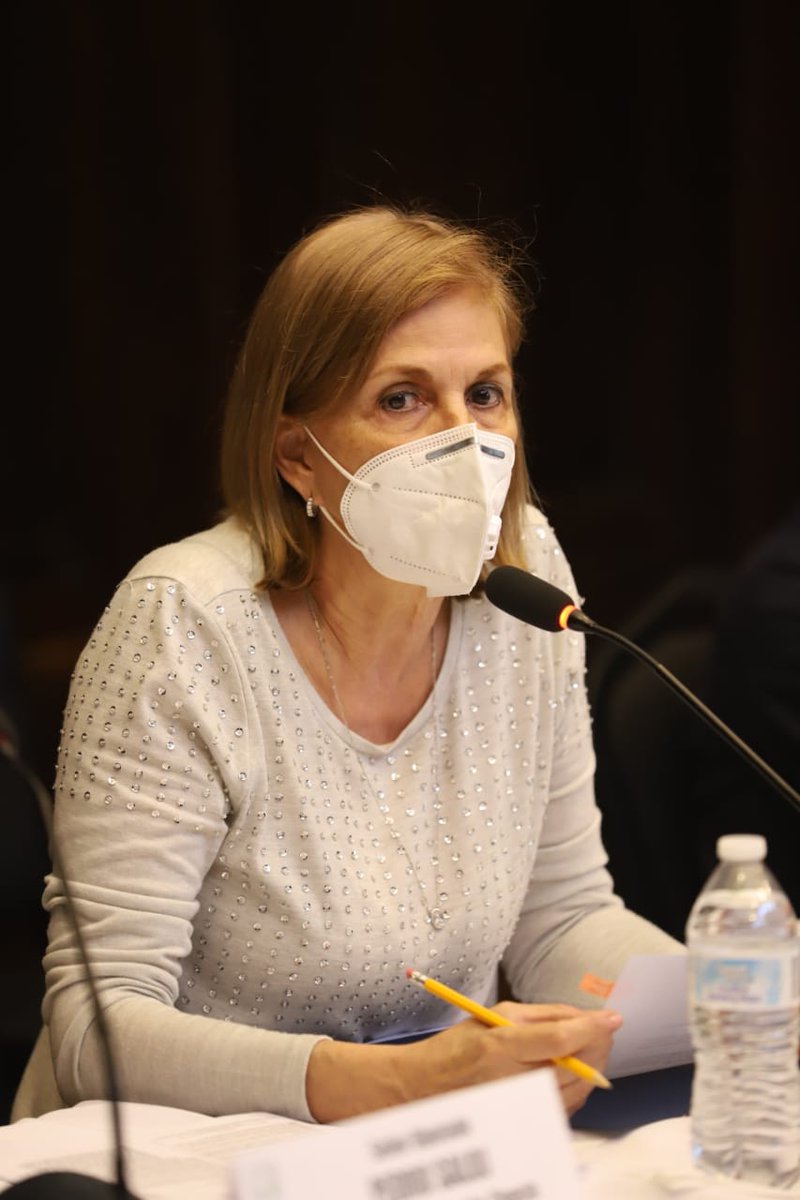 Para analizar la situación que atraviesan las instituciones de educación privada ante la emergencia sanitaria, la Comisión de Educación, presidida por la diputada Lucrecia de Palomo, se reúne de manera presencial y virtual con autoridades del @GUATEMINECO, <a href="/MineducGT/">Mineduc Guatemala</a> y <a href="/diaco_gt/">DIACO</a>
