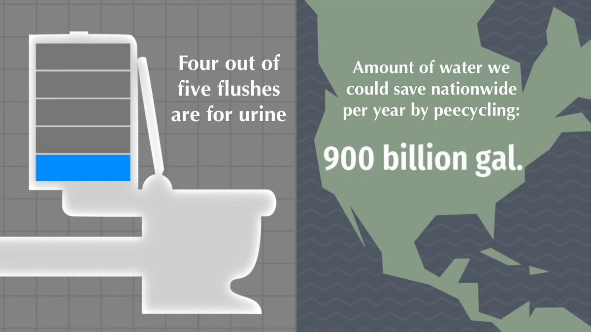 Peecyclers's tweet photo. "Southern Vermont towns face early-season drought conditions"
https://t.co/RLr3xufIgq

Thirsty little state, let’s talk about water conservation! 4/5 flushes are for just a tiny bit of pee. Collect and #reuse instead of wasting clean water!

https://t.co/9i305WIBAR @UrinationU https://t.co/CMxfHurCbb