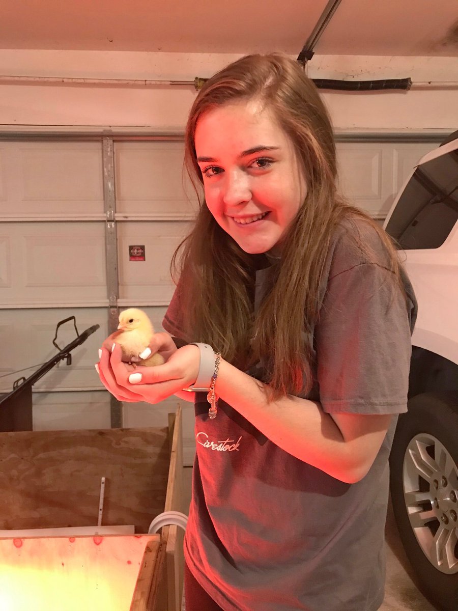 Cypress Ranch FFA tweet media