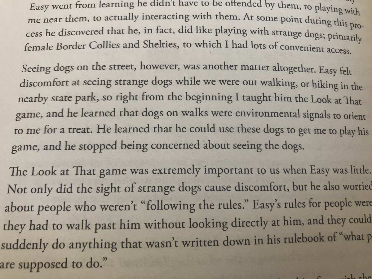 Dogs, like people, can have impractical boundaries, like that dogs on the street aren’t allowed to look at them or do anything unexpected.  http://becomingeden.com/boundaries/&nbsp;