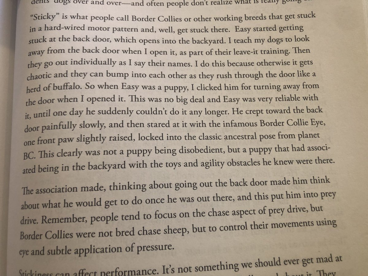 I like this story about how the author trained a solid behavior, looking away from the door when she opened it, and then “instinctively drift” kicked in and she had to go back and redo it.