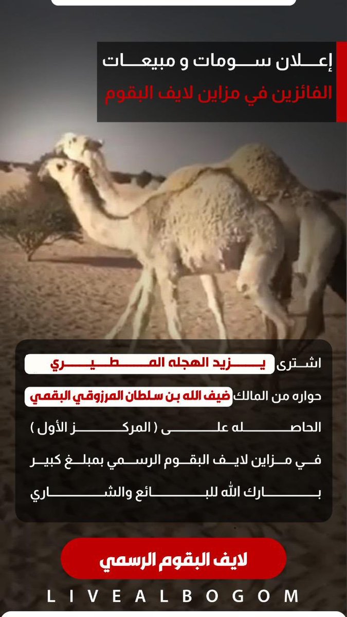 إعلان سـومات ومبيعـات 
الفائزين في مزاين لايف البقوم 

اشترى : يزيد الهجله المطيري 
حواره من المالك : ضيف الله بن سلطان المرزوقي 
الحاصله ( على المركز الاول )في مزاين لايف البقوم الرسمي بمبلغ كبير 
بارك الله للبائع والشاري 
#لايف_البقوم_الرسمي