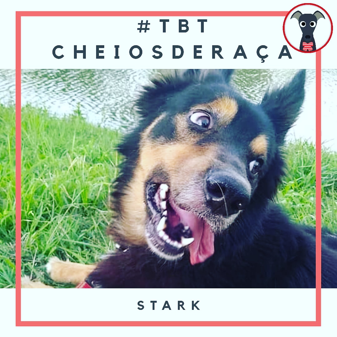 cheiosderaca's tweet photo. Quintou!
#Tbt https://t.co/YwAhHyT1uX