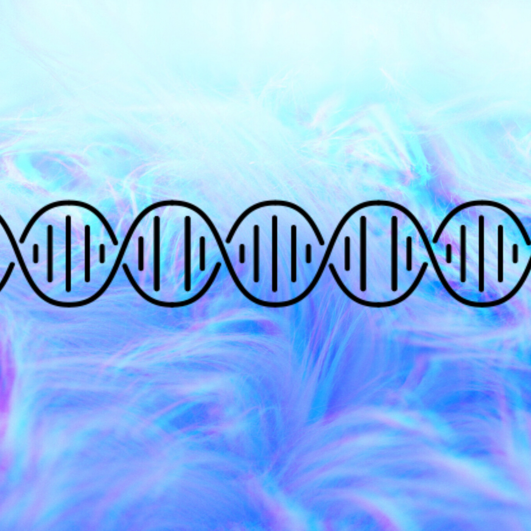 Check out our new review here: bit.ly/ChoueiriElRoz. This review is on SciTech Daily’s article on the investigation into the function of non-coding RNA molecules. Review by Choueiri and El Roz. Score: 4/5. #science #scifeye #news #reviews #research #RNA
