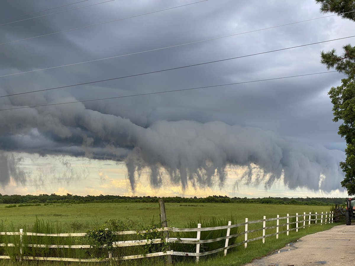 zachary_lane3's tweet photo. Marion County, SC! #scwx https://t.co/GkFjvuNQZZ