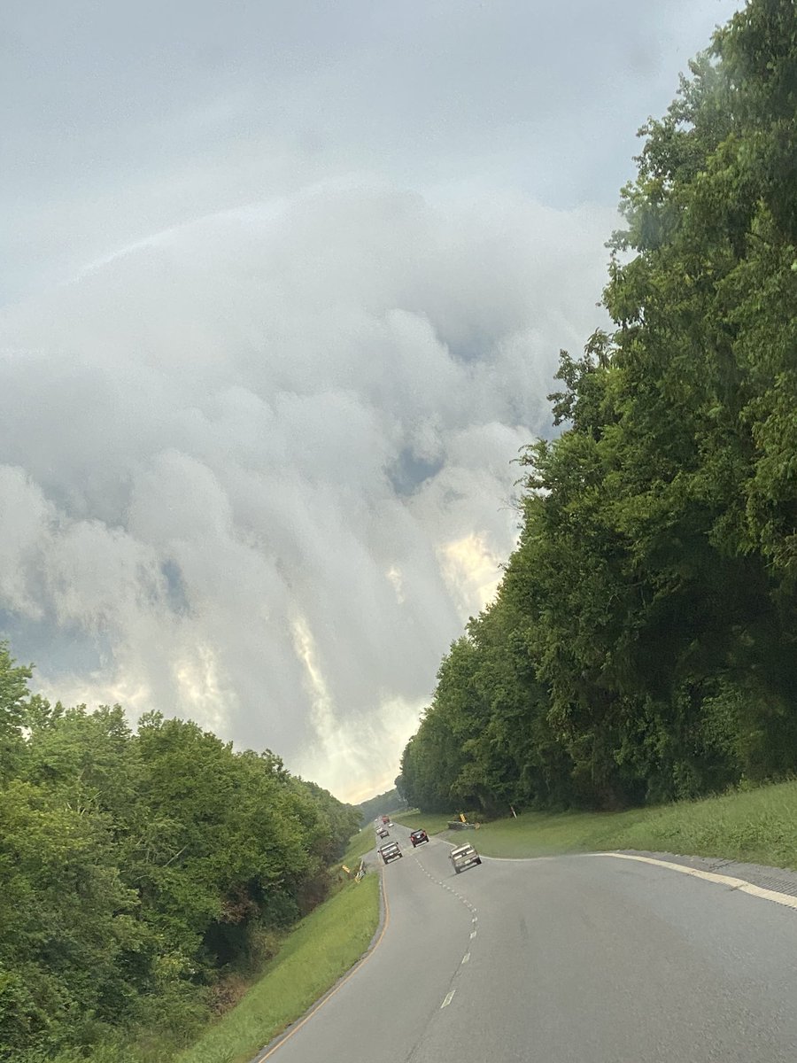 zachary_lane3's tweet photo. Marion County, SC! #scwx https://t.co/GkFjvuNQZZ