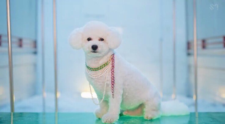 HongLinhHng4's tweet photo. Cameo vivi swag ghê chưa :)))) #OnMeBySEHUN https://t.co/6KwYnpSAHy