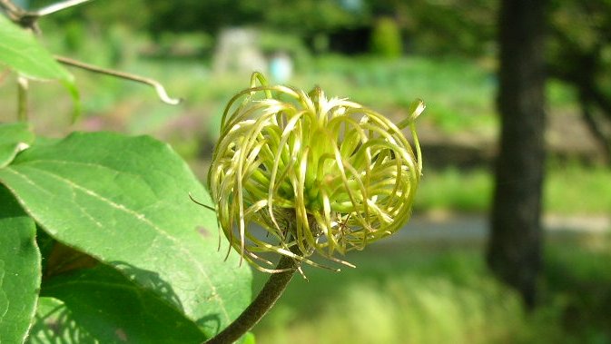 honky_tonk's tweet image. 自分が自分でなくなってる状態からあるがままの自分へ移行する際、人は「怖れ」を体験します。別に悪魔が出てくるわけじゃないのにね。

あるがままの自分を抑圧する方が「安全」という神話が存在しました。
ascension2011.jugem.jp/?eid=1447
#fear #怖れ #spirituality #霊性