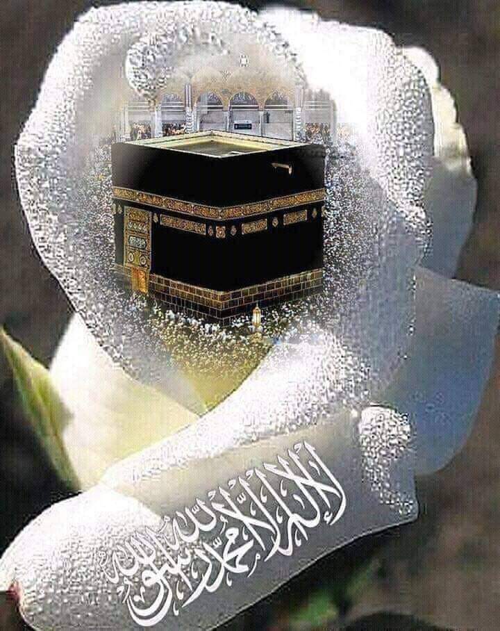 aliya ahmad tweet media