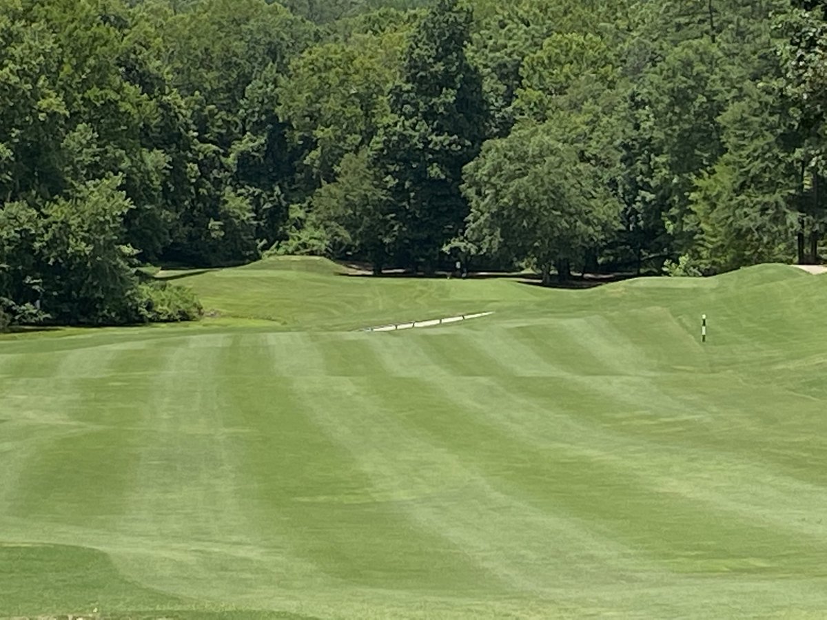 Matt Findley (@findleymatt) on Twitter photo 