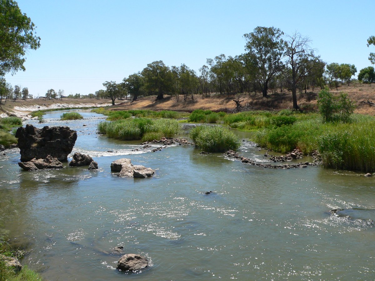 AusRangeSoc's tweet photo. Monitoring #rivers in northern MDB opportunity for #cultural awareness. #TraditionalOwner Jason Wilson & #Ngema elder Phil Sullivan from #NPWS share stories about ' invaluable golden #fish' in the Barwon-Darling river system. #yellowbelly #Brewarrina
https://t.co/UBtIsCEy0t https://t.co/RUgM6vSTCu