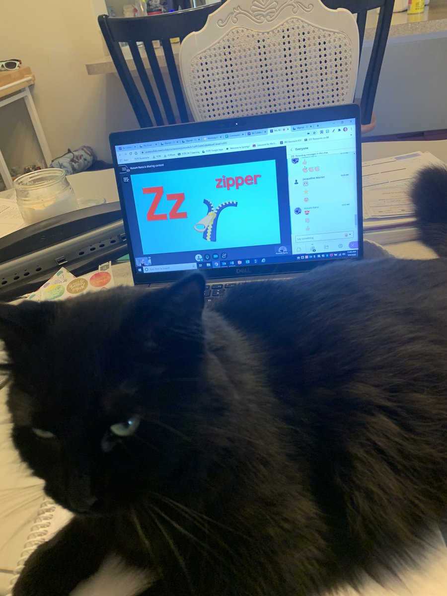 jmwarner's tweet image. My baby Francis is not always the best teaching assistant, but the kids do love when he makes an appearance 😂 #shesesy #beechtreefamily
