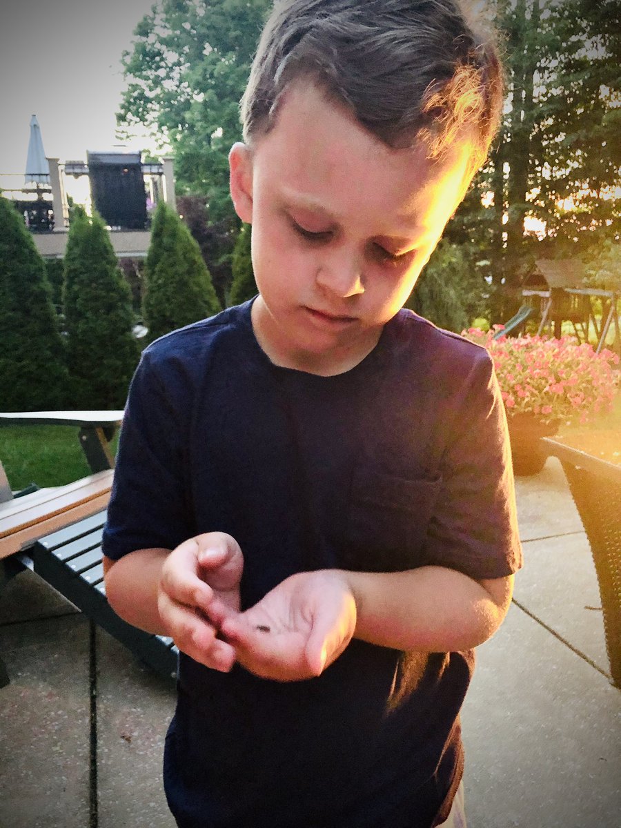 Tammynurse4U's tweet photo. Fireflies and slushes make a great time โค๏ธ #adorable #MyGrandson #HesFive #SoMuchFun https://t.co/0gMByEJ81I