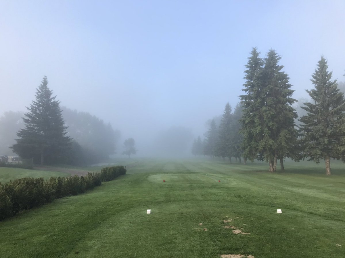 Wild Rose Golf tweet media