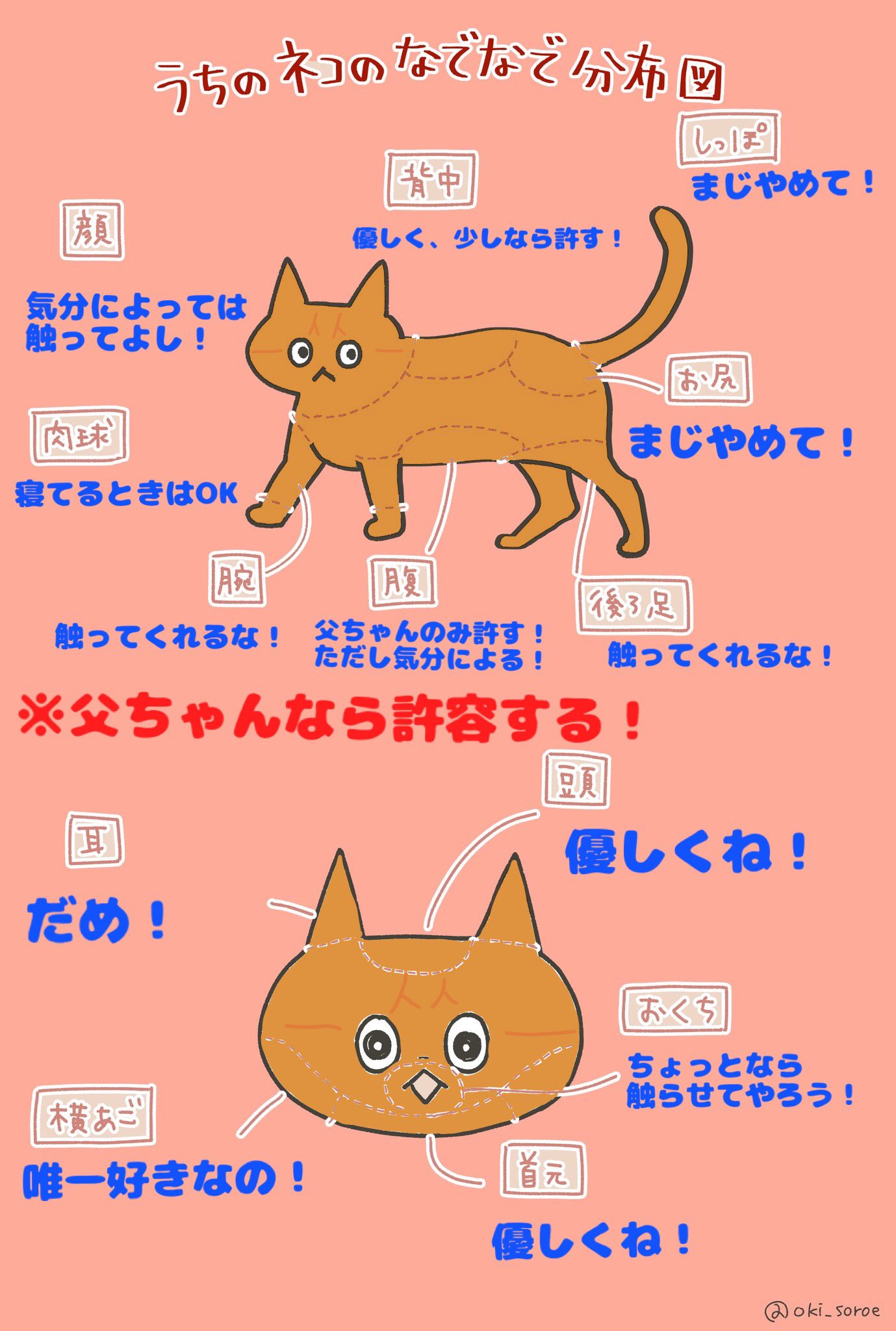 うちのネコのなでなで分布図 Twitter