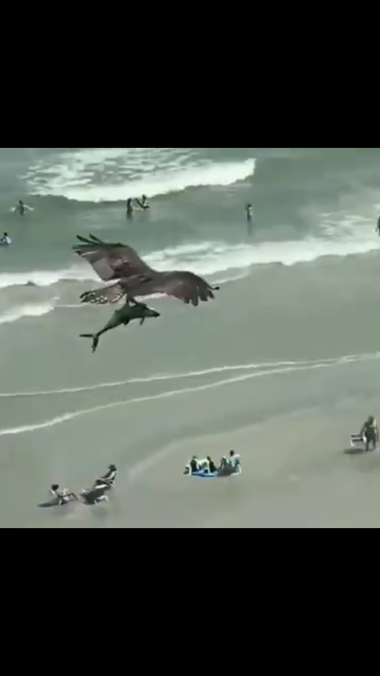 Lucy 世界上没有永远的朋友 只有永远的利益 这句话 是最卑鄙无耻的名言 这话否定了良知 道义和信仰 背叛了所有的文明 引导我们走向极端自私自利 转 T Co Oia0fl2tqk Twitter