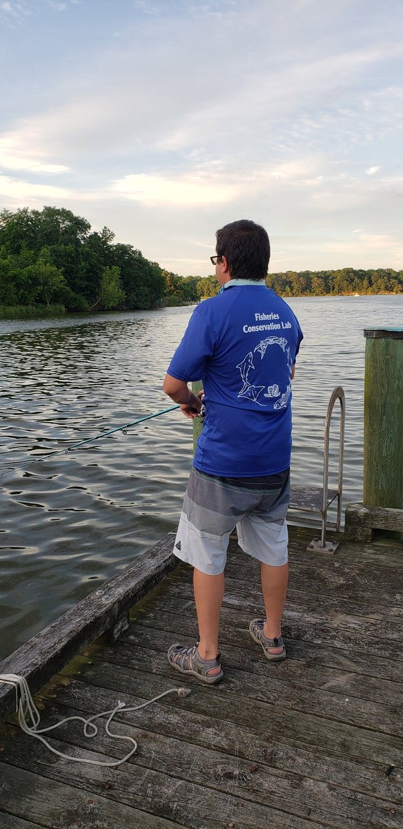 SERCfisheries's tweet photo. Tracking habitat use of juvenile striped bass for the next 2 years using #acoustictelemetry within #chesbay. All we need are the fish! @ACTtelemetry https://t.co/uSvSewAOKW