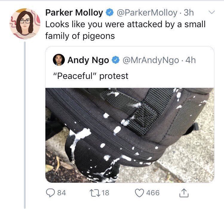 Andy Ngo tweet media