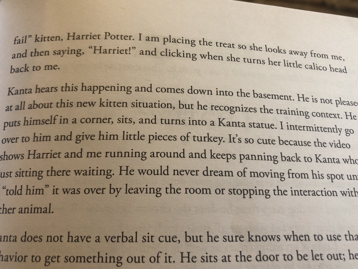 First anecdote in three books about how the author teachers her cats to sit and wait patiently for things they want too :-).