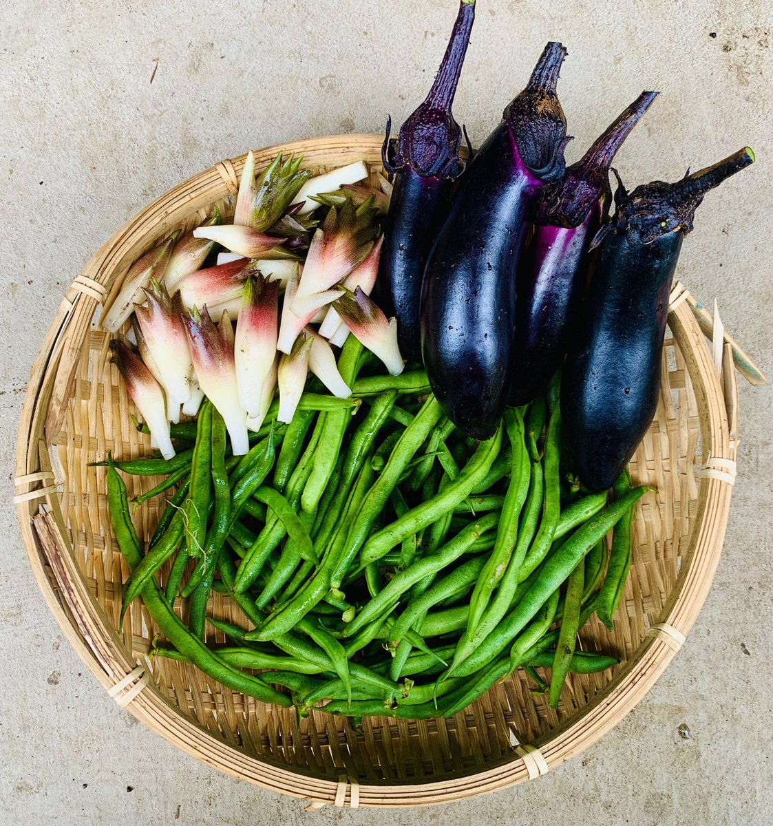 さやいんげん Twitter Search