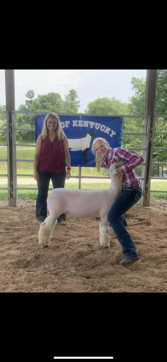 LadyWaves_Hoops's tweet photo. Congratulations to Lady Wave Senior @34Ladywave on her first Grand Champion Breed with her Southdown at the Top of Kentucky District show. #WeAreMeade #OneHeartOneBeatOneTeam https://t.co/tVVoaHYsRh