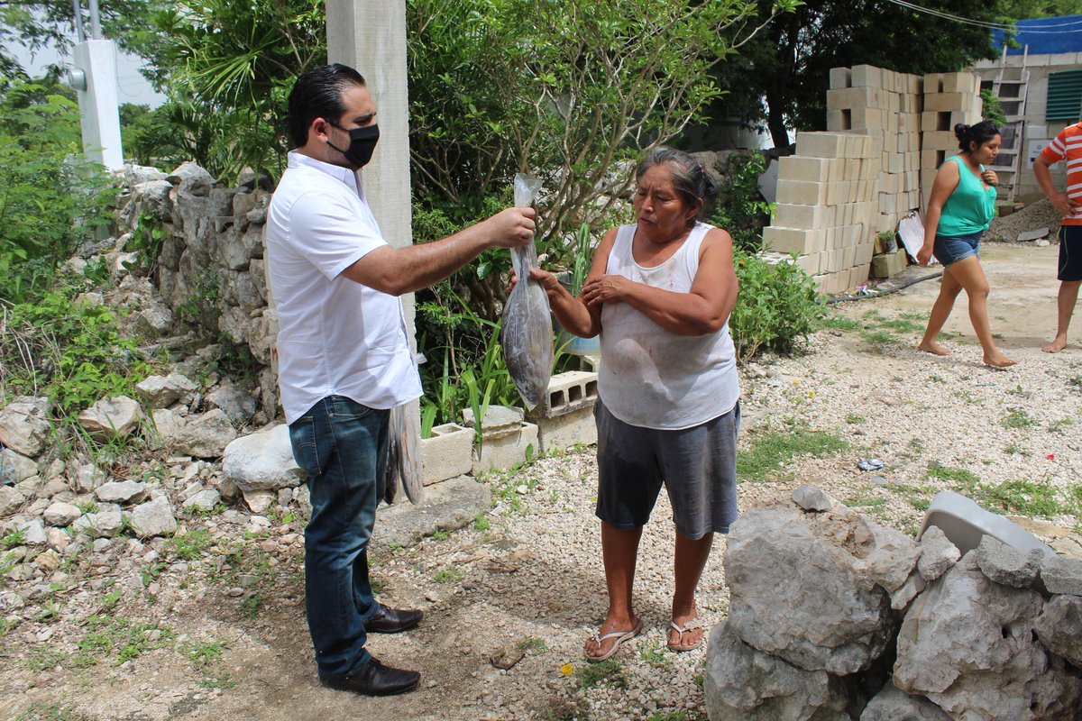 En la comisaría de 𝐂𝐚𝐮𝐜𝐞𝐥, concluimos con la entrega de más de 𝟯𝟱𝟬 𝗸𝗶𝗹𝗼𝘀 𝗱𝗲 𝗽𝗲𝘀𝗰𝗮𝗱𝗼 para las familias más necesitadas.

Los últimos meses han sido complicados para cientos de miles de personas en los diferentes municipios de nuestro estado. #MastersYucatán