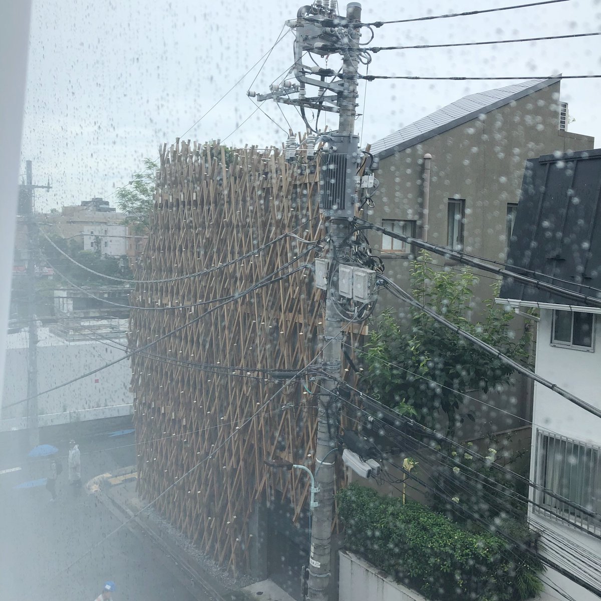 virth_lim's tweet photo. 今日も雨と湿気が凄いですね〜〜……… https://t.co/BrIInyAsvE