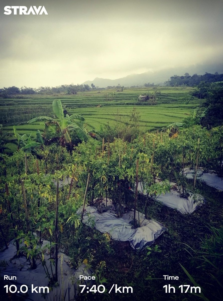 credOLIN's tweet photo. #setoRun Jumat.

Kapok lombok. 🧘🏻‍♀️🧘🏻‍♀️🧘🏻‍♀️

@causevirtualrun https://t.co/jm2oUDeUpe