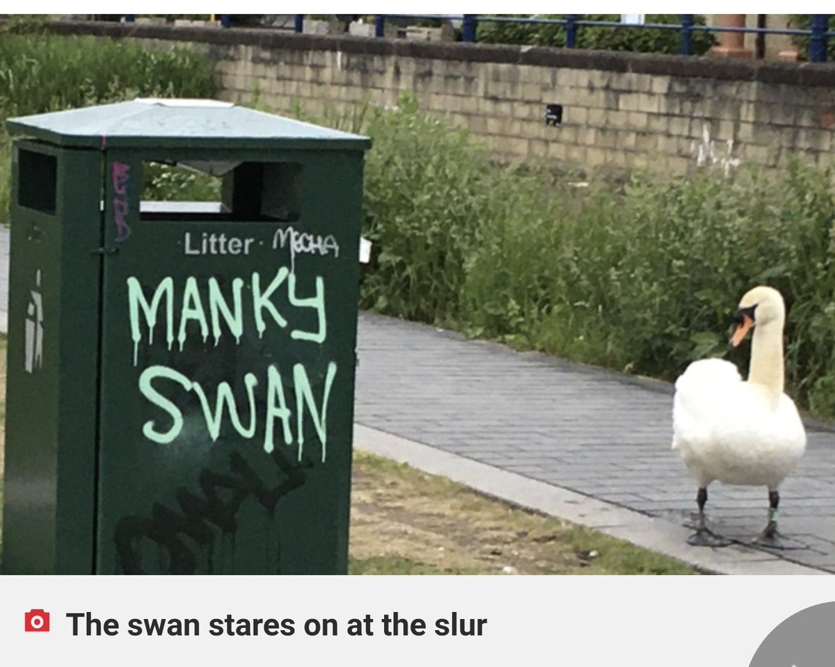 dr_nic's tweet photo. Edinburgh's angry swan graffiti is perfection https://t.co/ItySFIk6bi