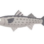 全身が敏感になる薬を投与したぞ というよくある展開からボラ知識が披露され ボラで興奮するようになったみなさん 生命の神秘に弱い Togetter