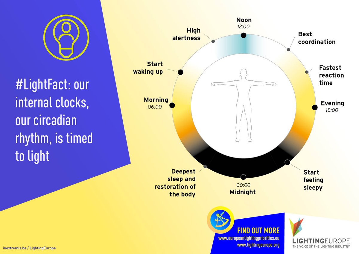 LightingEurope's tweet photo. #LightFacts: our internal clocks, our circadian rhythm, is timed to light. Better lighting implemented in the #RenovationWave improves people’ quality of life @AuroreLalucq https://t.co/D33nDsq5G1 https://t.co/afCDKRo90Y
