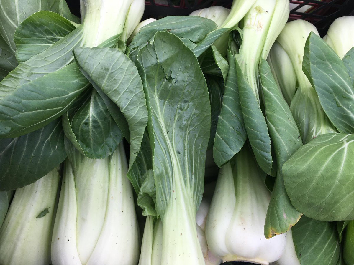 FareShareKent's tweet photo. What a lot of of fantastic fresh and nutritious produce coming into the warehouse!
Thank you Minor Weirs Willis Ltd & Top Barn for the tasty pak choi and @EveshamValeGrow for the fantastic crop of tomatoes - a big hit with the charities we serve! #reallyfresh #lovefoodhatewaste https://t.co/lmxboGc9i1
