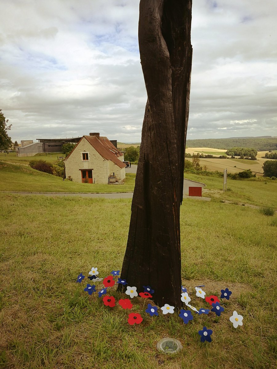 Aisne1418's tweet photo. Au #ChemindesDames, le souvenir de la #GrandeGuerre refleurit, cet été #retrouvezvous dans l'#Aisne ! #WW1 #GreatWar #ErsteWeltKrieg https://t.co/i7bovOJ71X