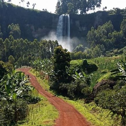 DaSafaris's tweet photo. Mighty sipi falls,it's the major tourist attraction in Eastern Uganda.
#visiteast #soug https://t.co/OB2Ezbw0Y2