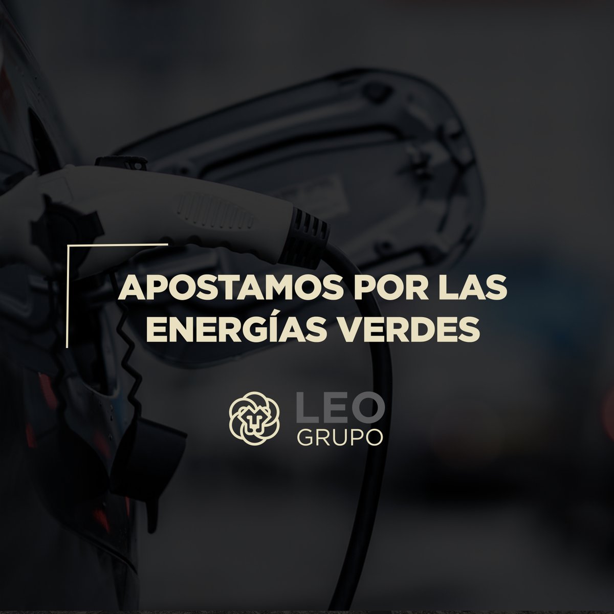 leogrupooficial's tweet photo. Hoy a las 11:00 inauguraremos la primera electrolinera premium de Iberdrola y nuestra gasolinera GLP.

Nuestra apuesta es decidida y firme por las energías verdes y el medioambiente. Avanzamos para convertir Complejo Leo en una de las mejores áreas de servicio de España y Europa. https://t.co/EDeIslN92d