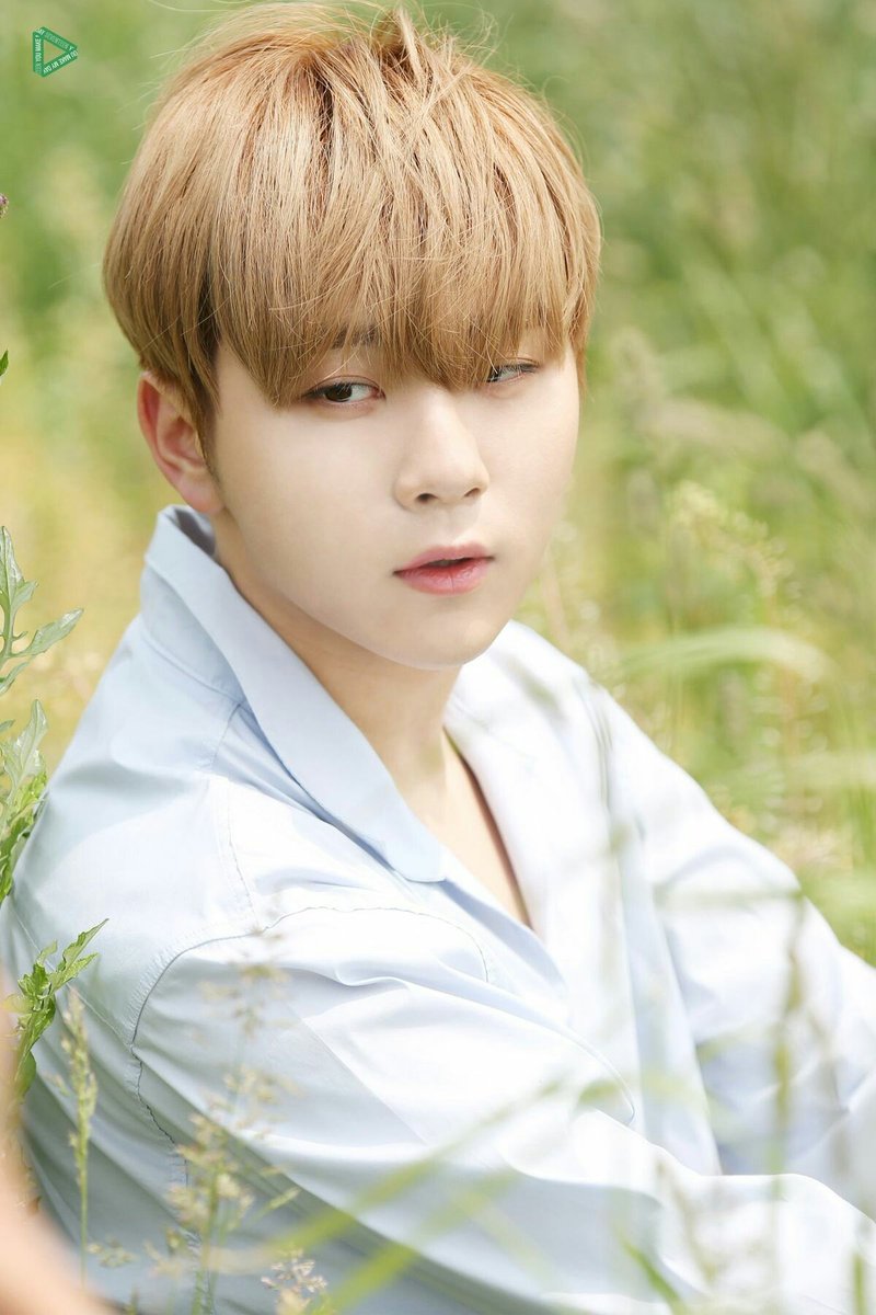 SEUNGKWAN AS BUTTERCUPS