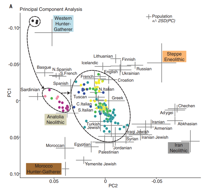 PCA of the data, with selected clusters circled