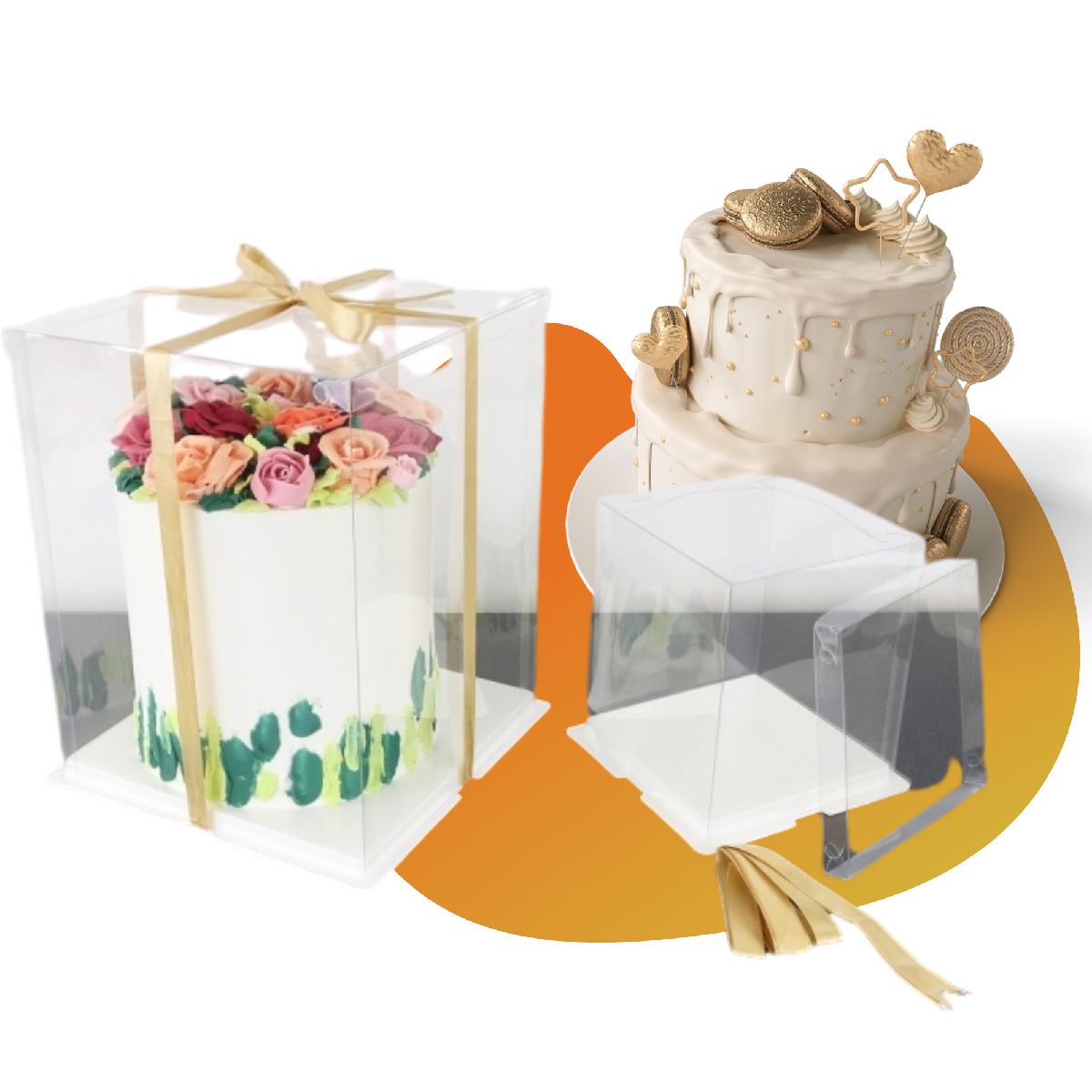 crystalcakebox's tweet photo. The Importance of Cake Boxes - Cake boxes make purchasing and transporting your cakes so much easier and more convenient. Visit us at https://t.co/yozChI8uqo

#crystalcakebox #cakebox #crystalclearbox #cakedecoratingtools #cakedecorating #cakedecoratingsupplies #PMEcakebox #PME https://t.co/giejAj5yDK